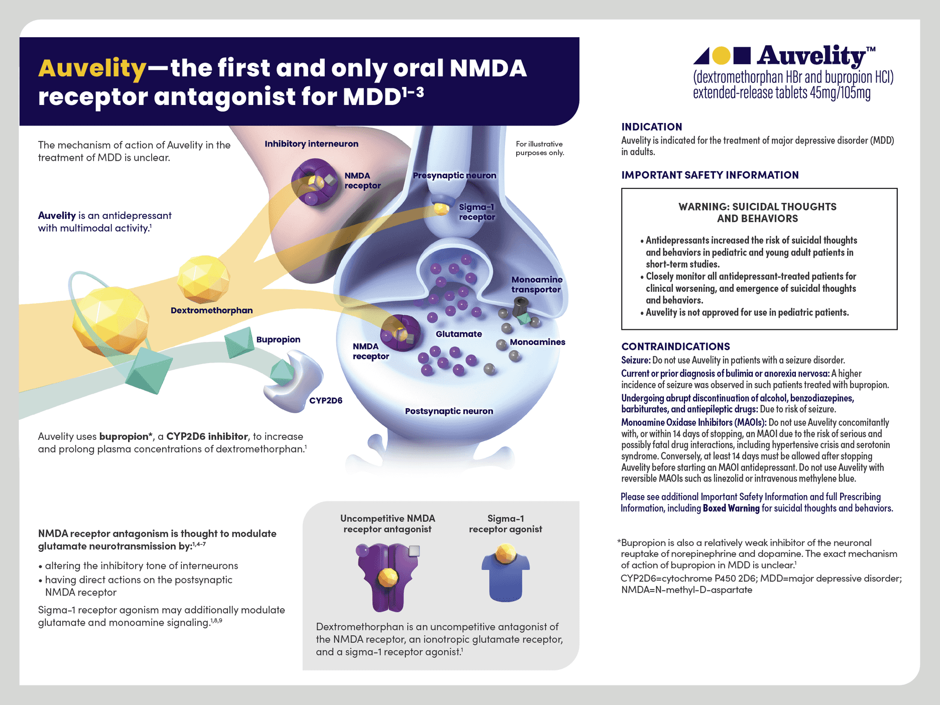 Mechanism Of Action Auvelity dextromethorphan bupropion mechanism-of-action-auvelity-dextromethorphan-bupropion
