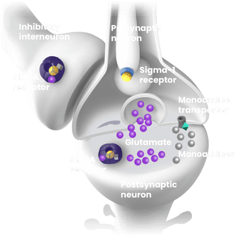 Dextromethorphan modulates glutamate neurotransmission and monoamine signaling